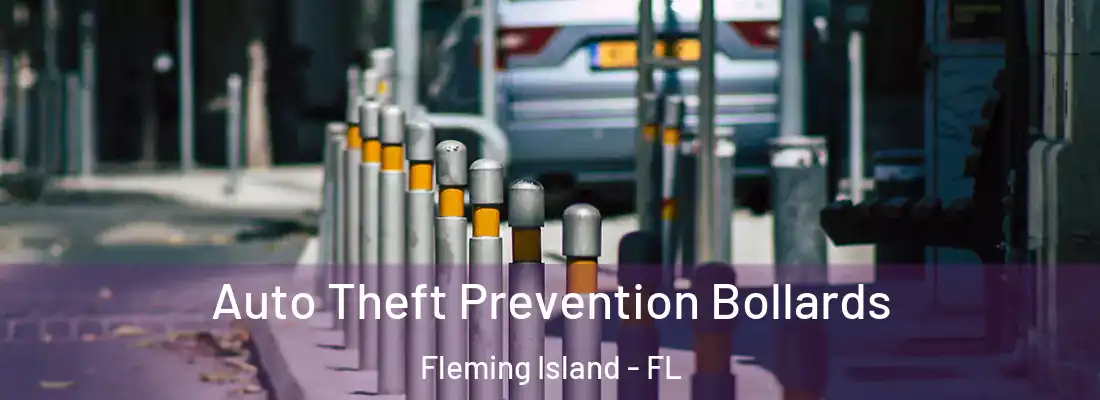  Auto Theft Prevention Bollards Fleming Island - FL