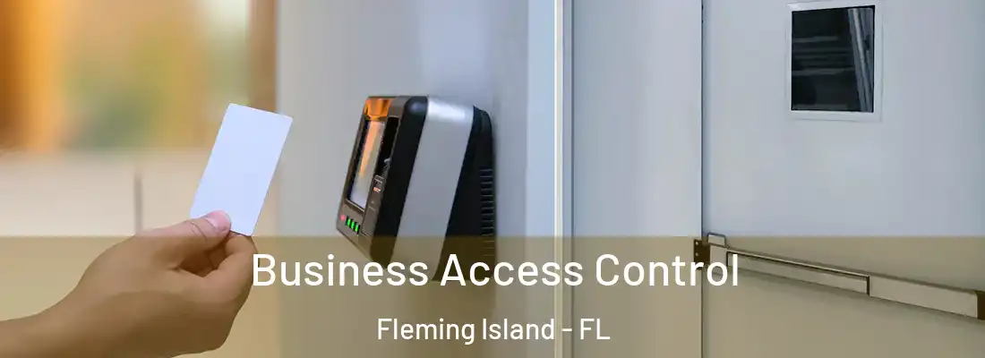 Business Access Control Fleming Island - FL