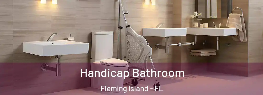 Handicap Bathroom Fleming Island - FL