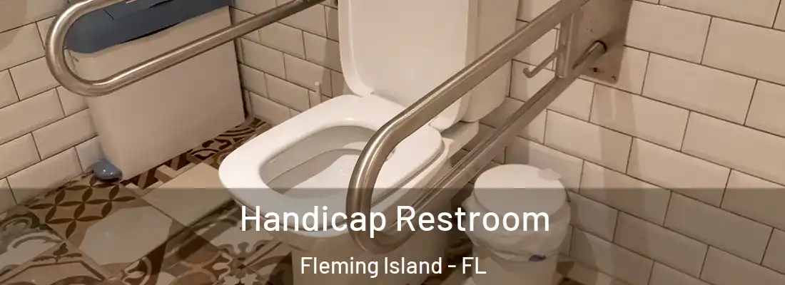  Handicap Restroom Fleming Island - FL