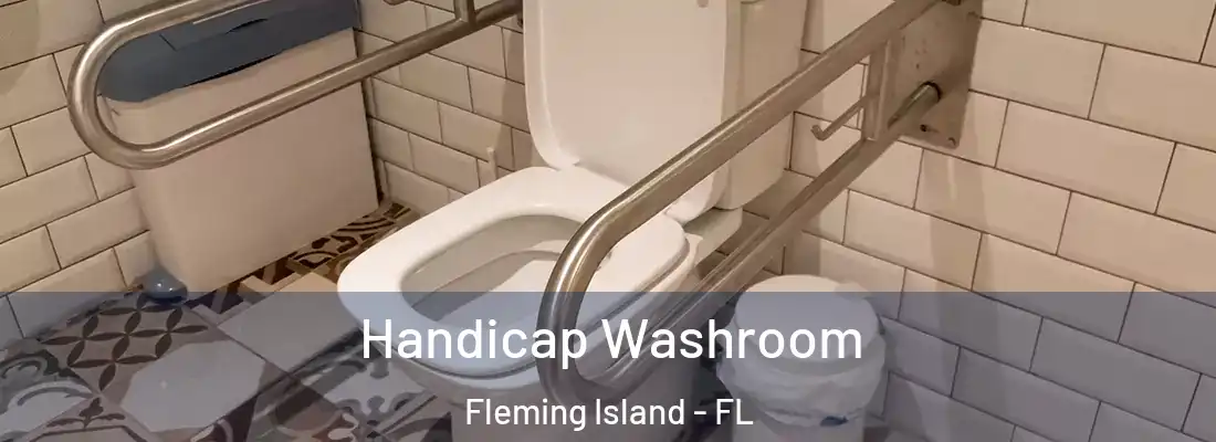 Handicap Washroom Fleming Island - FL