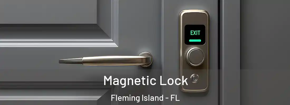  Magnetic Lock Fleming Island - FL