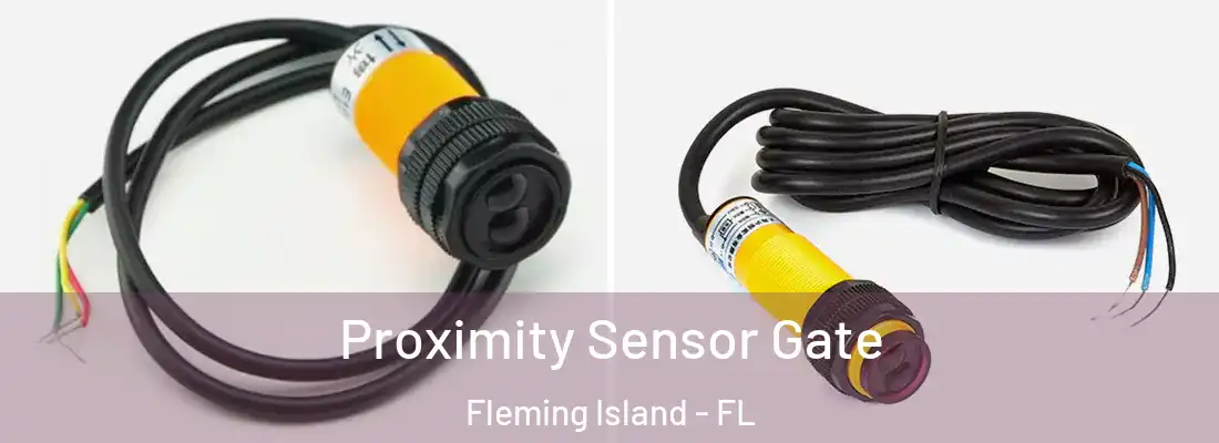  Proximity Sensor Gate Fleming Island - FL